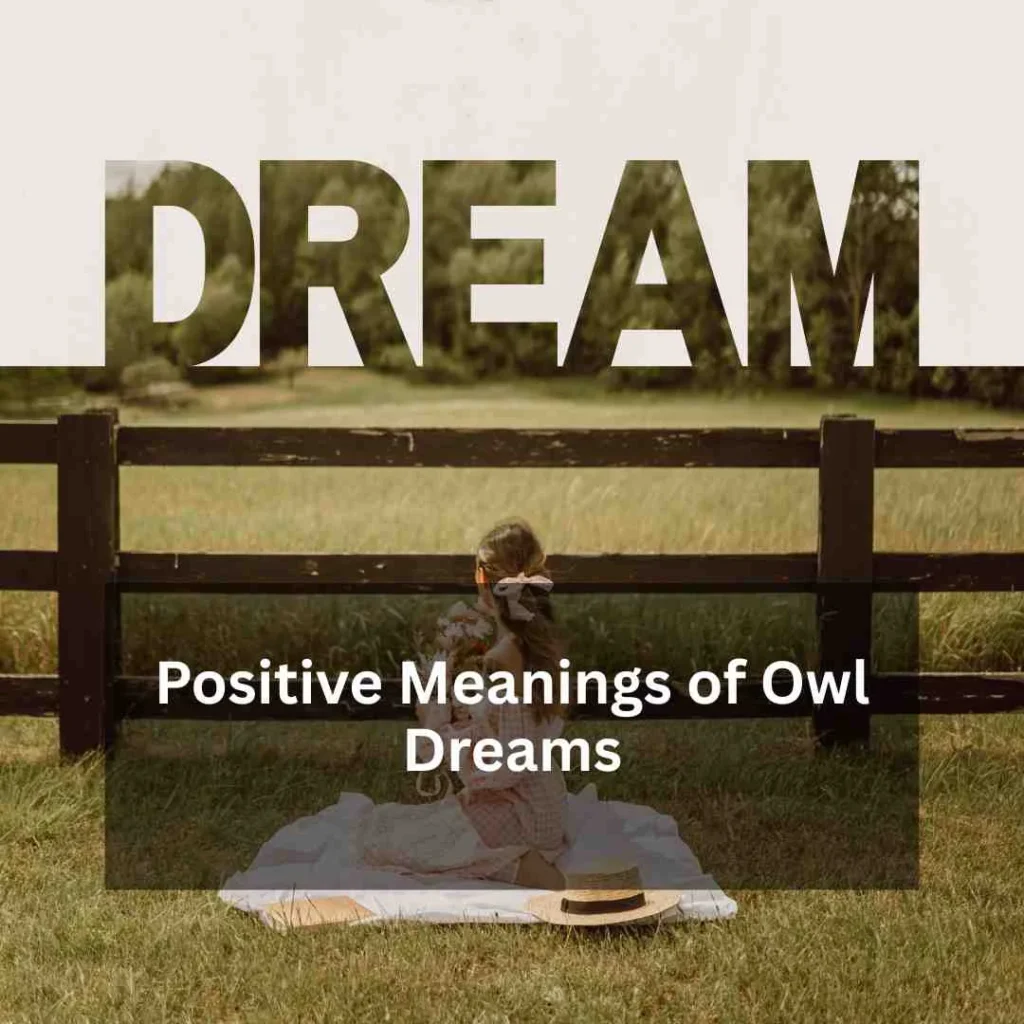 Positive Meanings of Owl Dreams