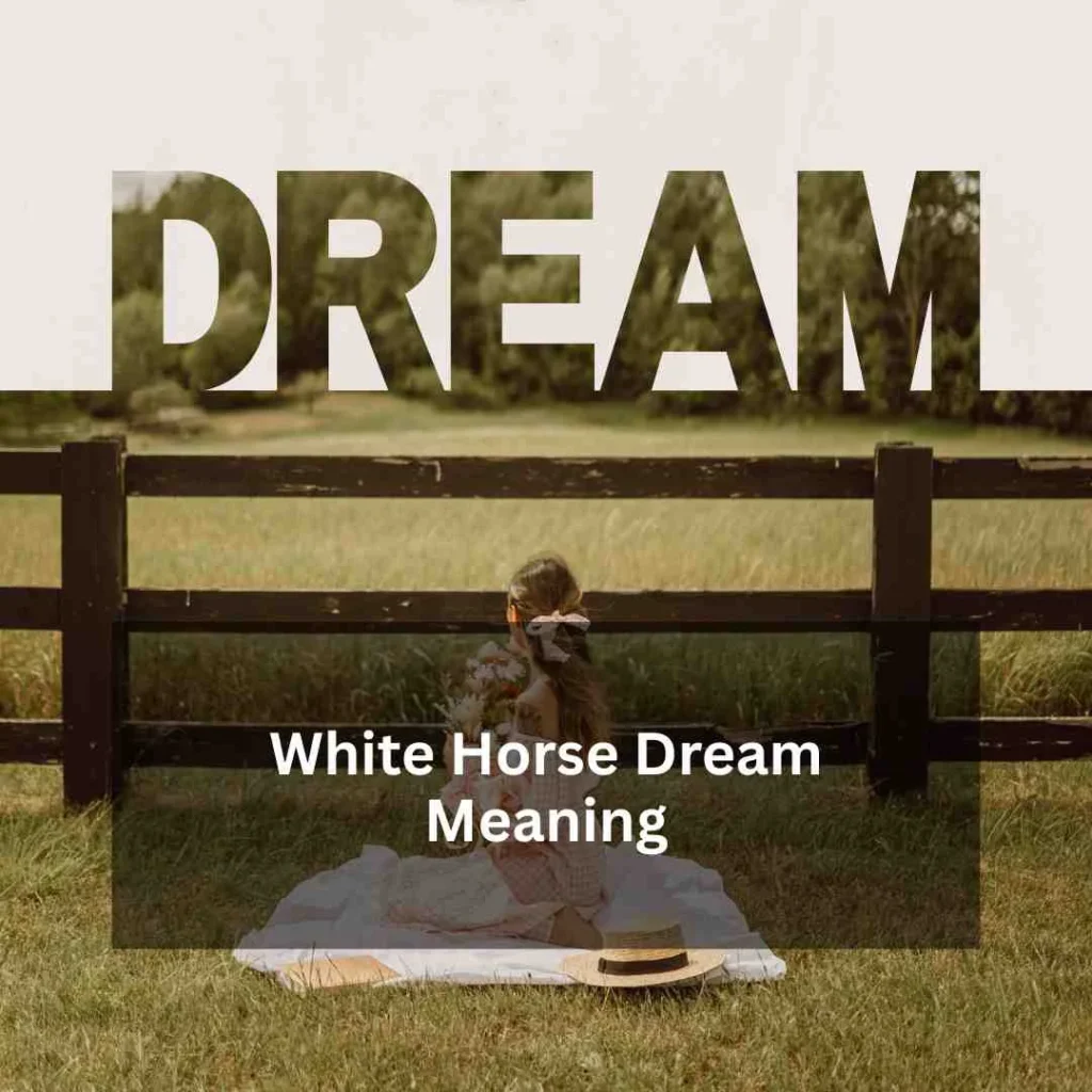 White Horse Dream Meaning