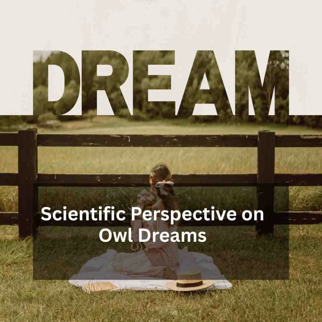 Scientific Perspective on Owl Dreams