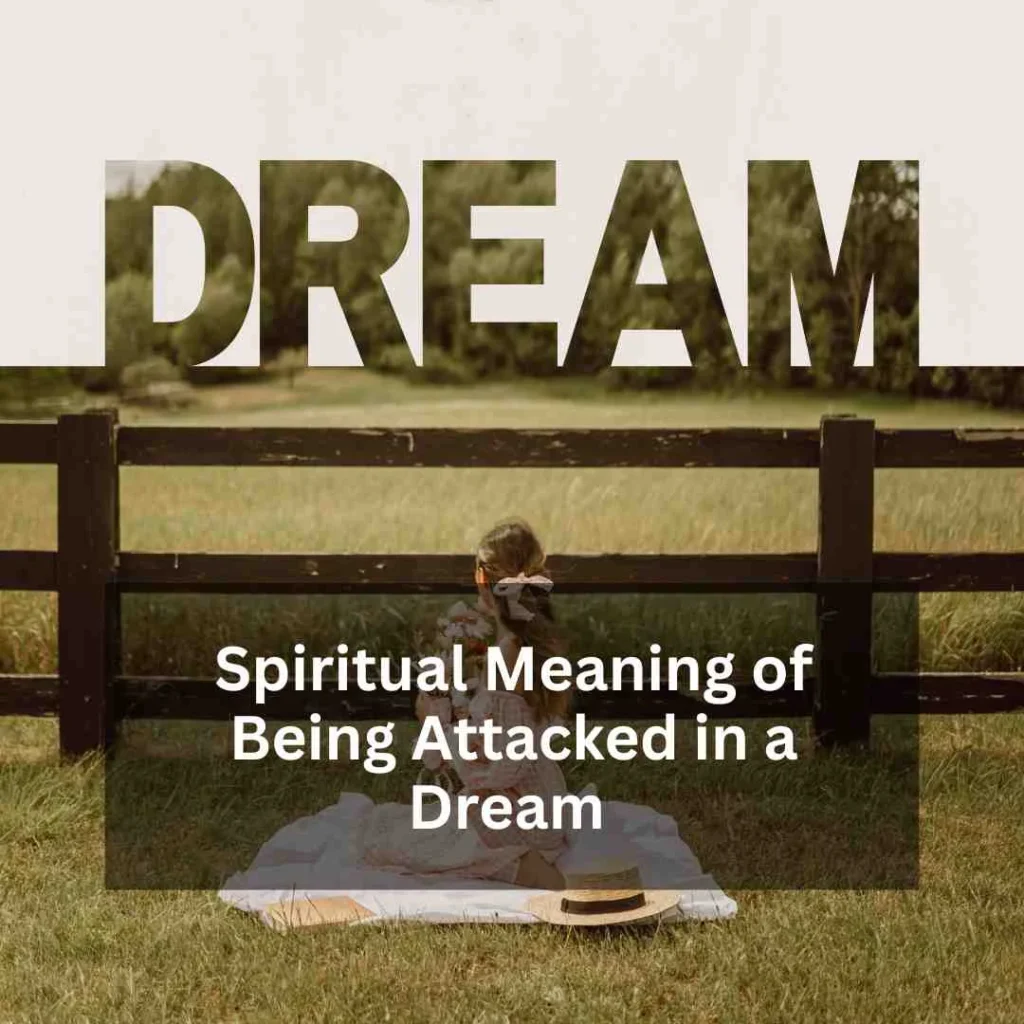 Spiritual Meaning of Being Attacked in a Dream 