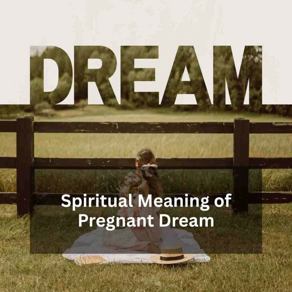 Spiritual Meaning of Pregnant Dream