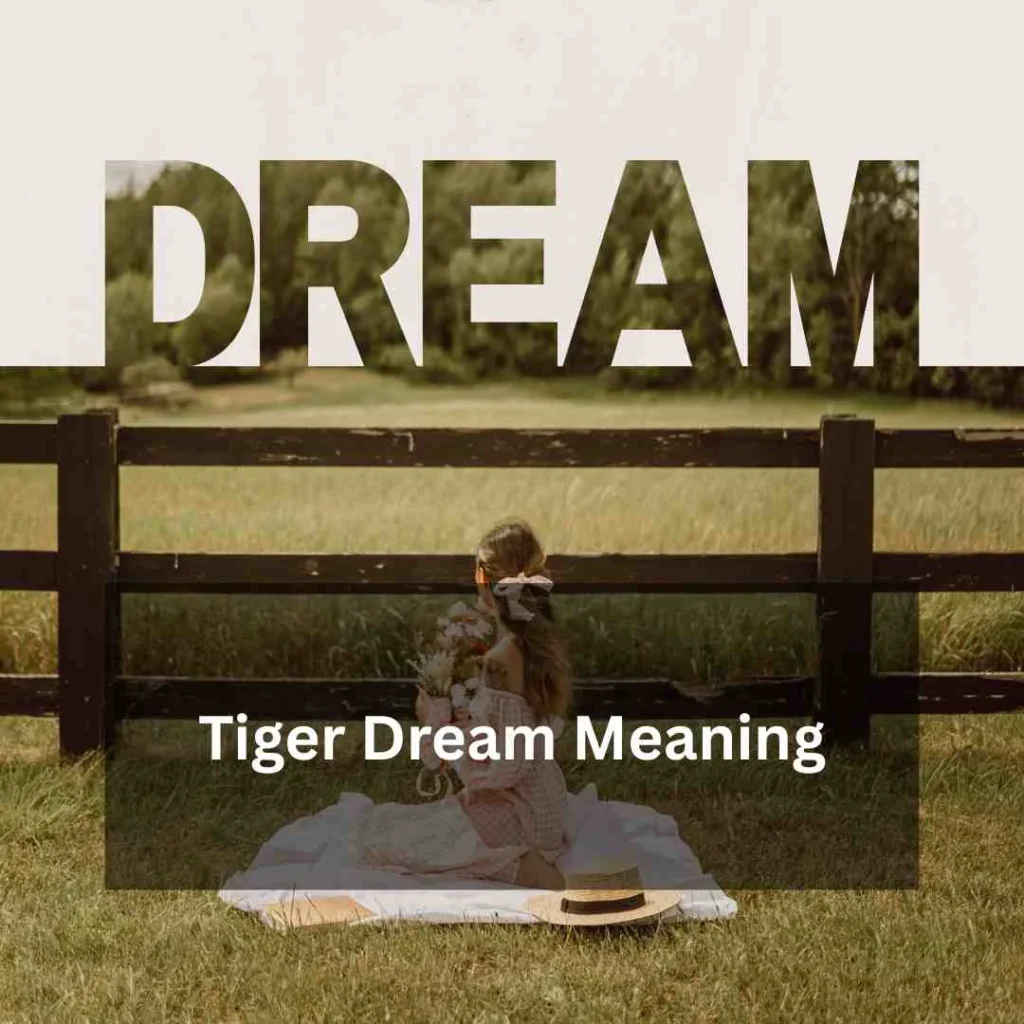 Tiger Dream Meaning