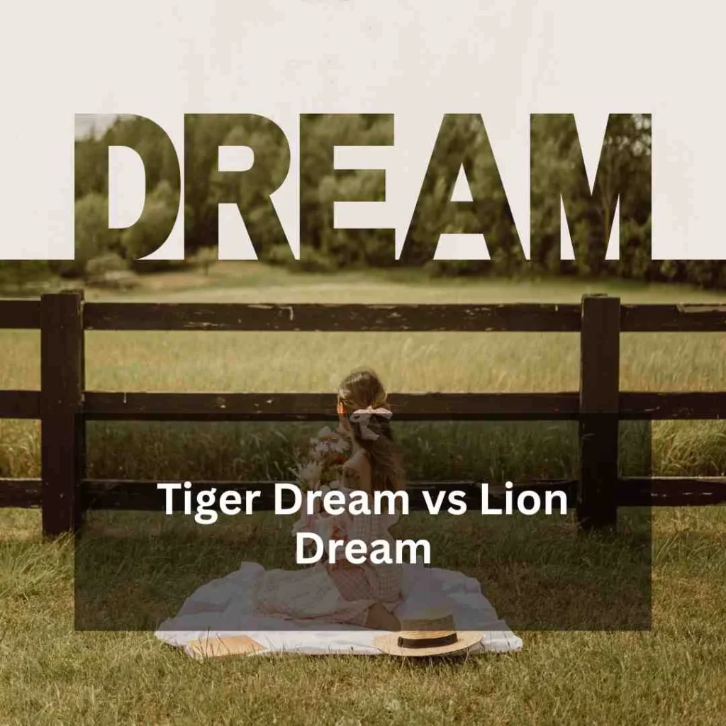 Tiger Dream vs Lion Dream