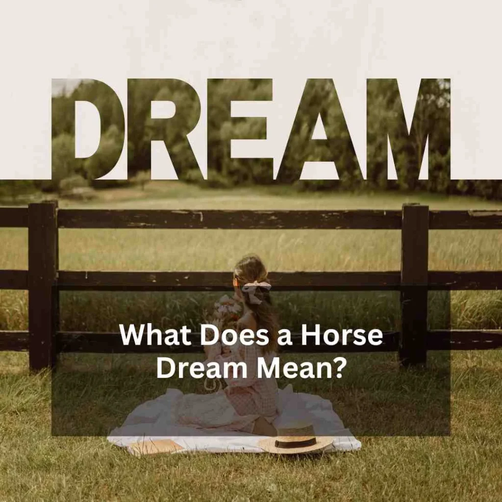 What Does a Horse Dream Mean?
