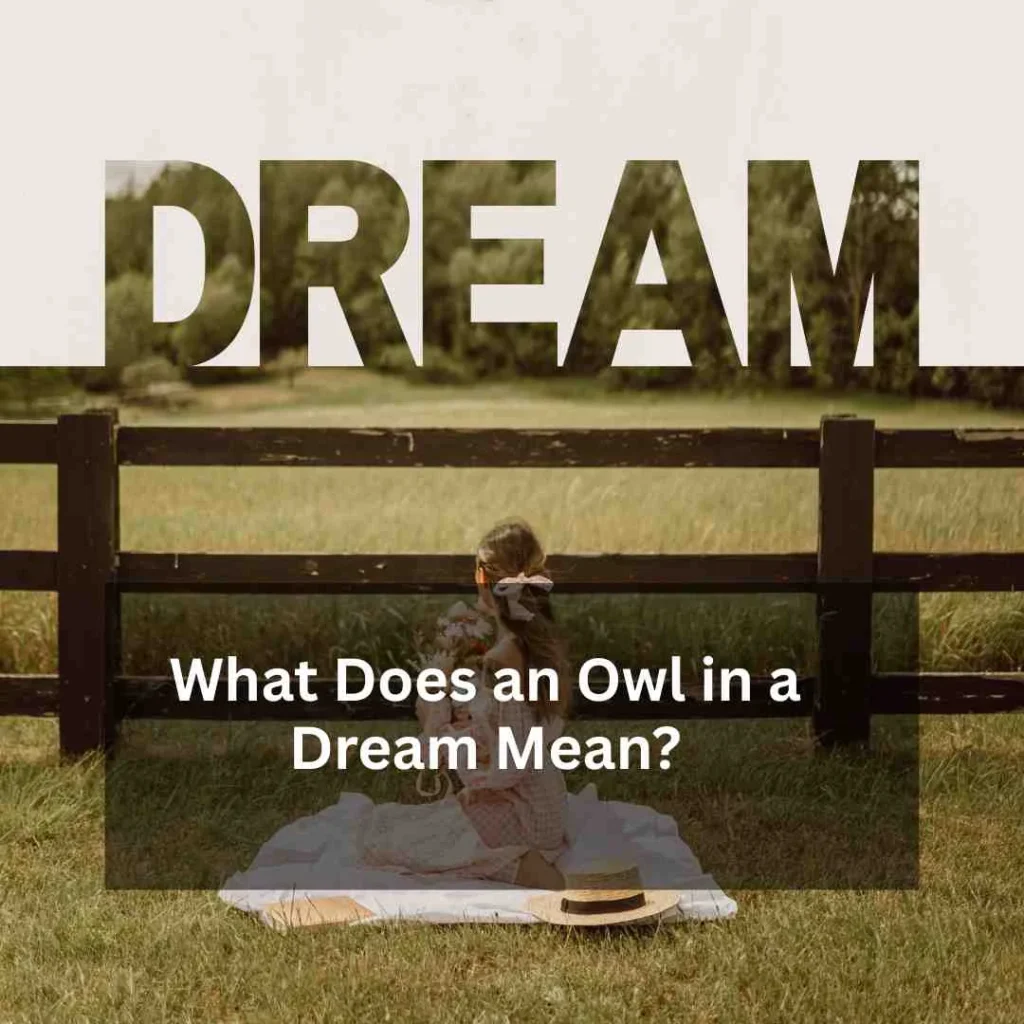 What Does an Owl in a Dream Mean?